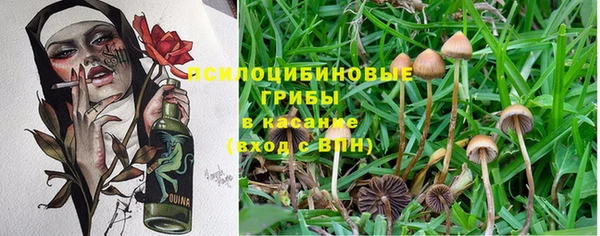 дживик Беломорск