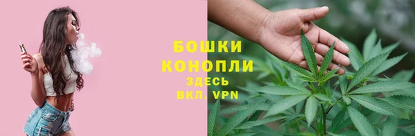 PSILOCYBIN Белоозёрский