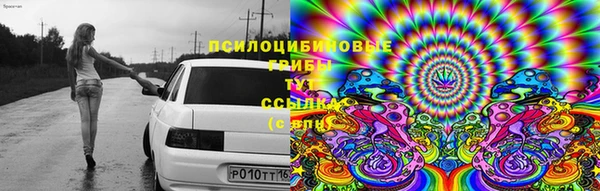 дживик Беломорск