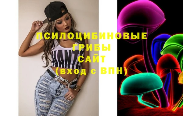 PSILOCYBIN Белоозёрский