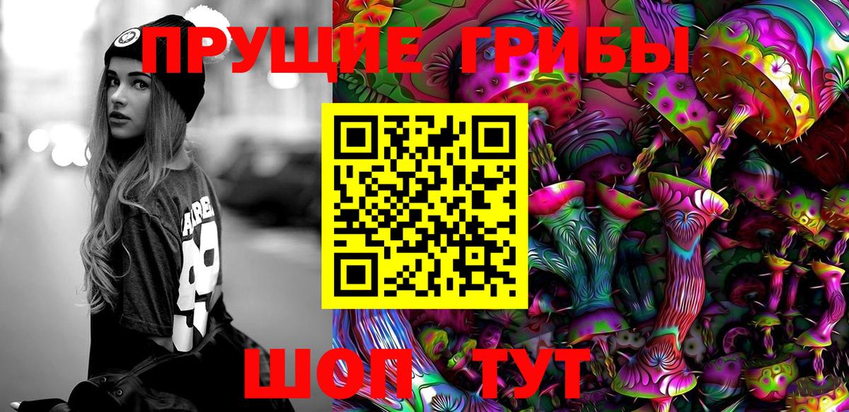 хочу   Галлюциногенные грибы прущие грибы  Вход с VPN  Псилоцибиновые грибы мухоморы  Славгород 