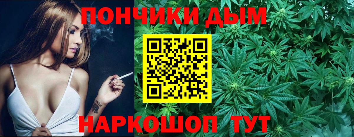 Славгород  Шишки марихуана план  Бошки марихуана тримм  МАРИХУАНА гибрид  Марихуана SATIVA & INDICA  Вход с VPN 